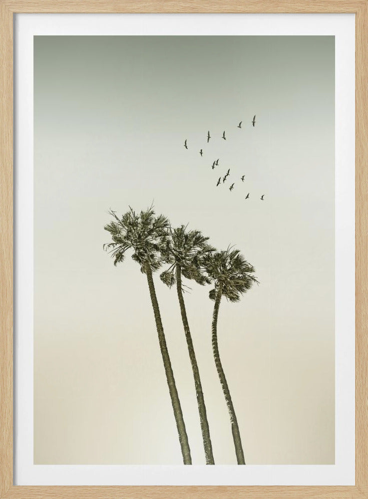 Minimalistische Vintage-Palmen und Sonnenuntergang | Poster