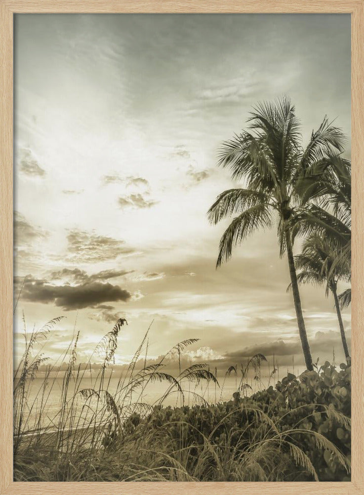 BONITA BEACH Vintage Sonnenuntergang | Poster
