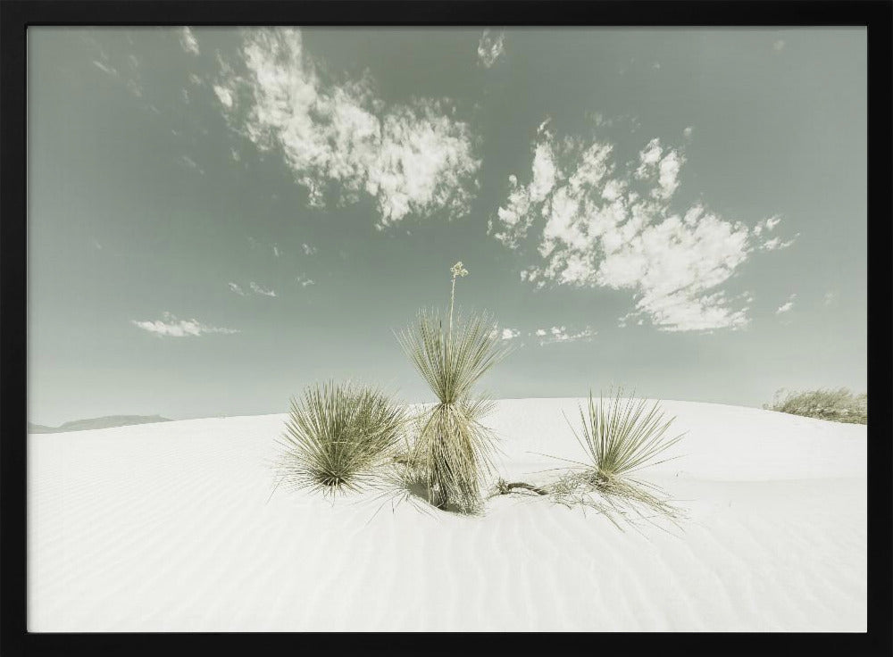 WEISSER SANDS Vintage | Poster