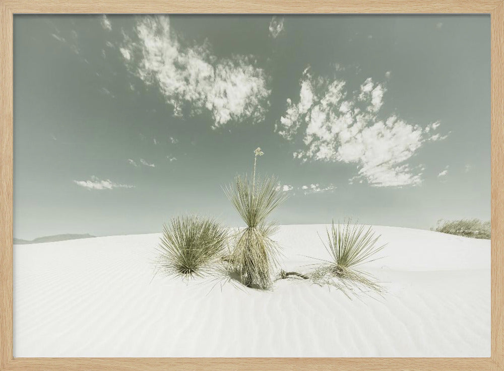 WEISSER SANDS Vintage | Poster