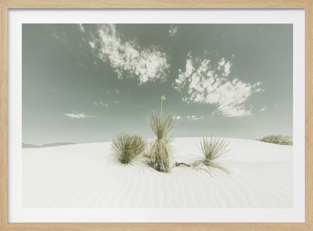 WEISSER SANDS Vintage | Poster