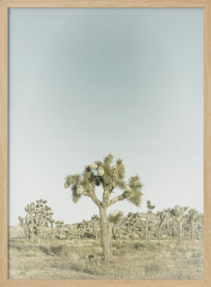 Vintage Joshua Tree Nationalpark Poster