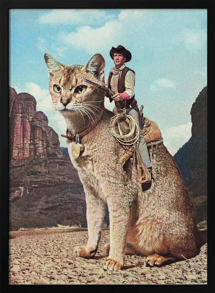 Cat Lone Ranger | Poster