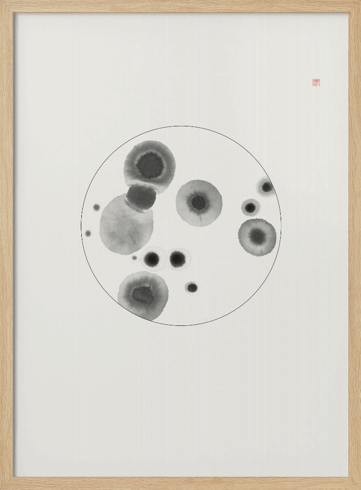 Petrischale | Poster