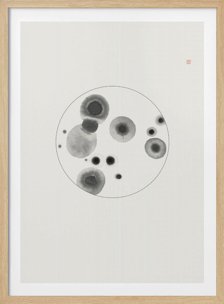 Petrischale | Poster