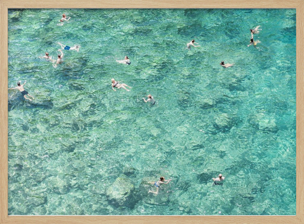 Schwimmen im Meer | Poster
