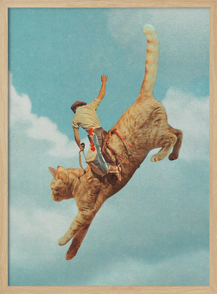 Meehaw Rodio Katze | Poster