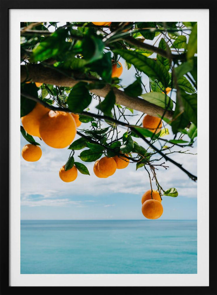 Orangen an der Amalfiküste IV | Poster
