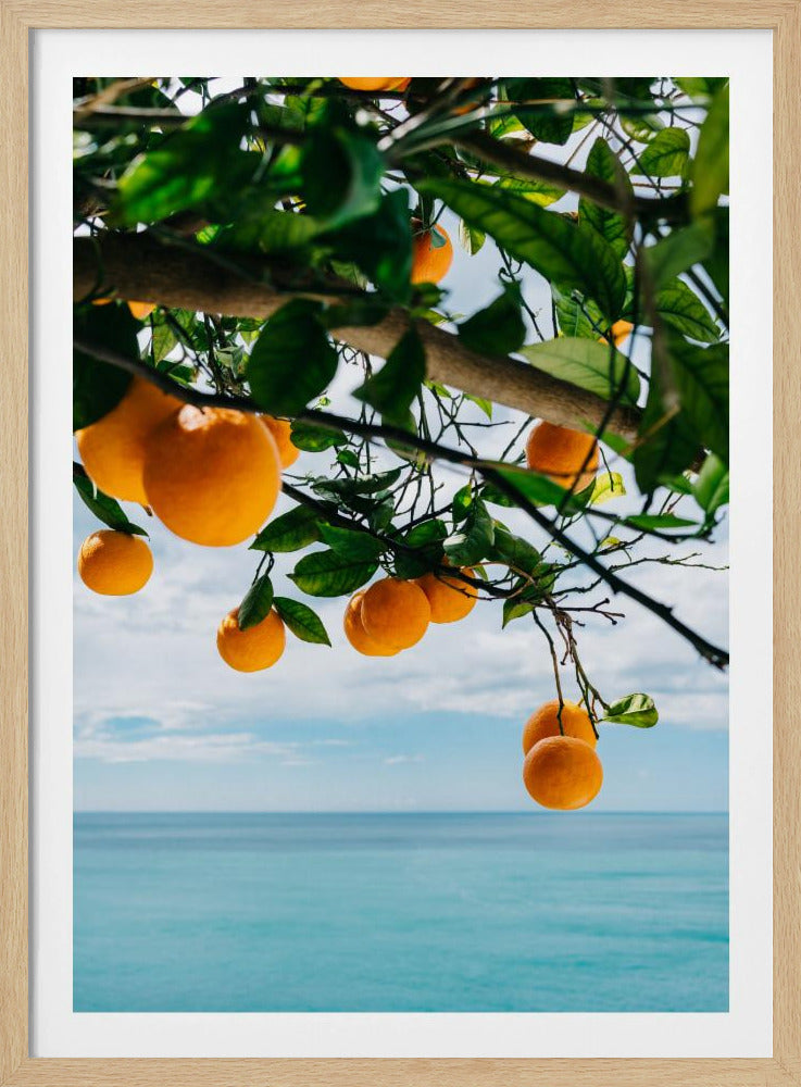 Orangen an der Amalfiküste IV | Poster