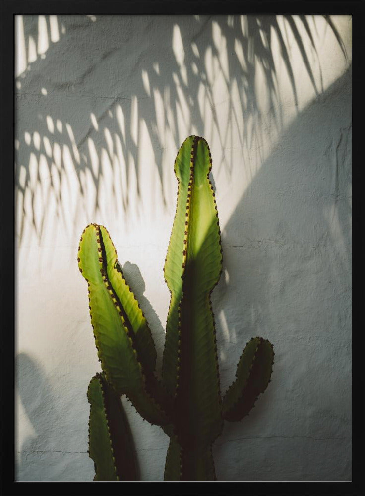 Südliche Schatten | Poster