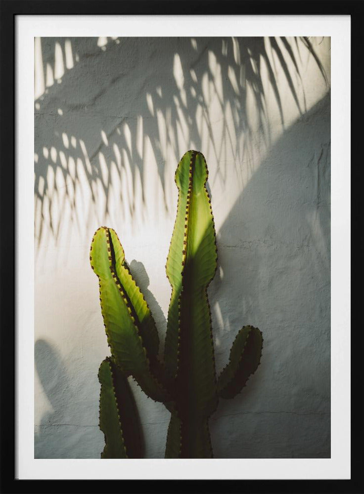 Südliche Schatten | Poster