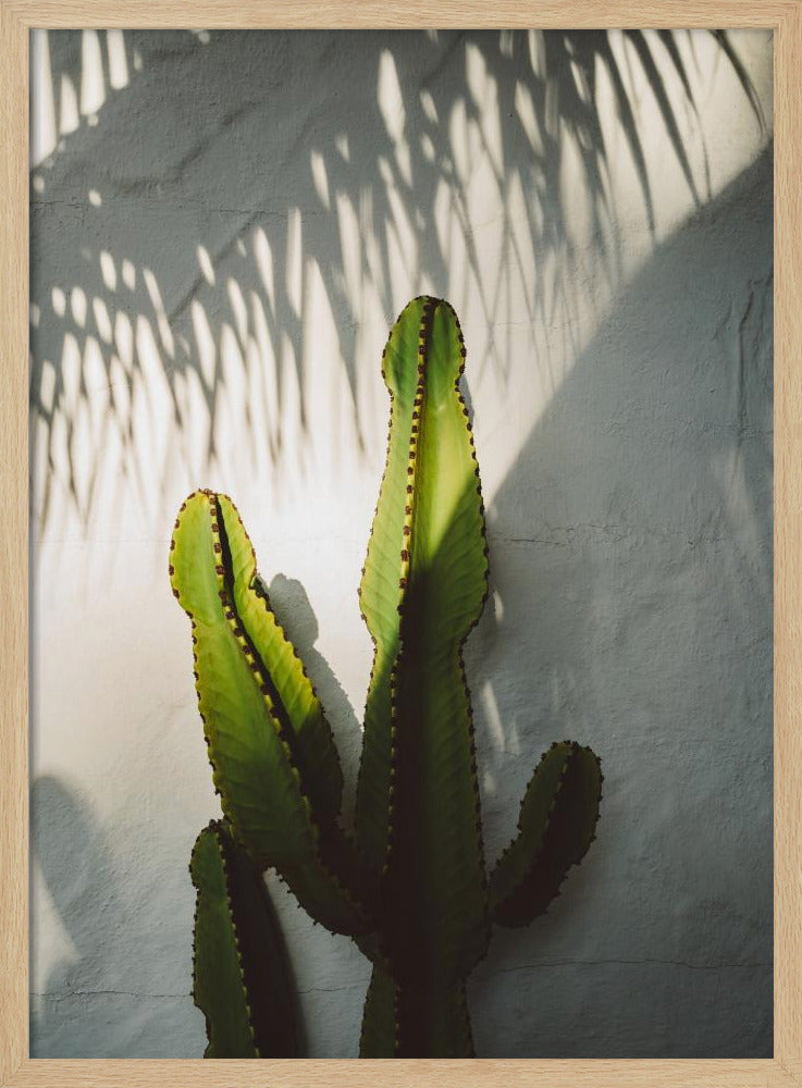 Südliche Schatten | Poster