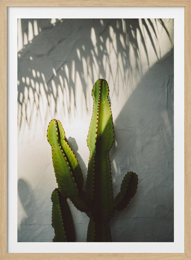 Südliche Schatten | Poster
