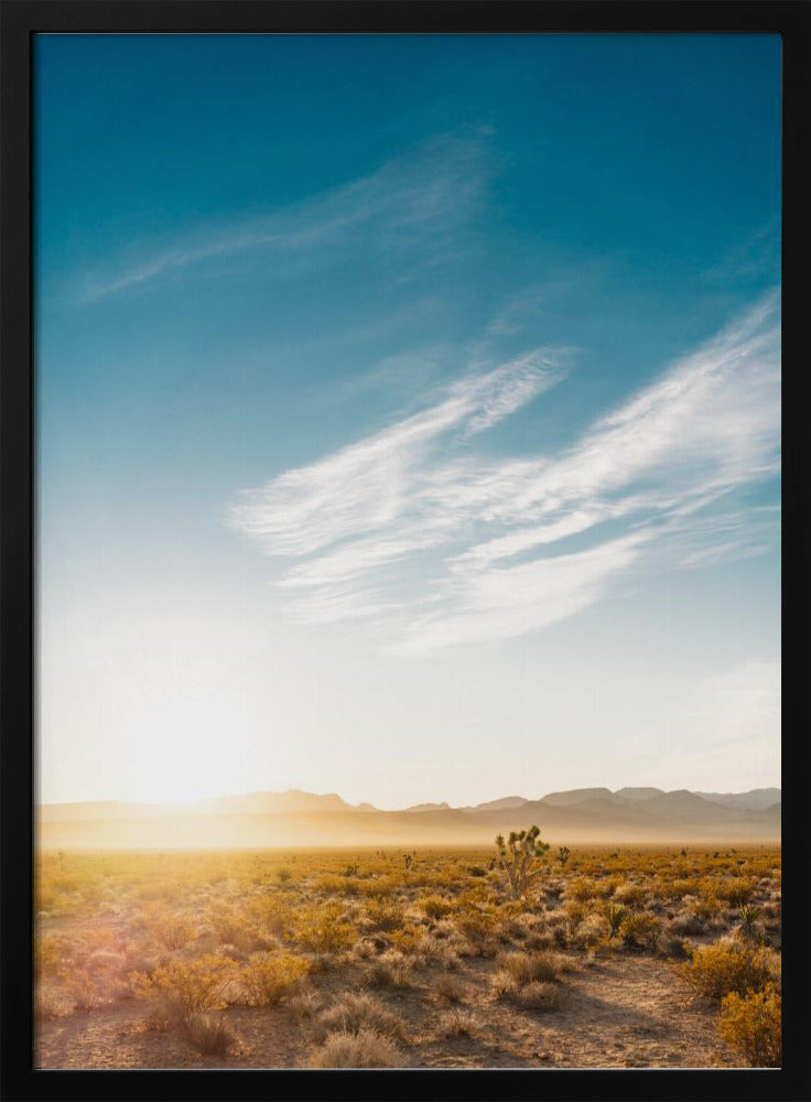 Sonnenaufgang in der Wüste von Nevada | Poster