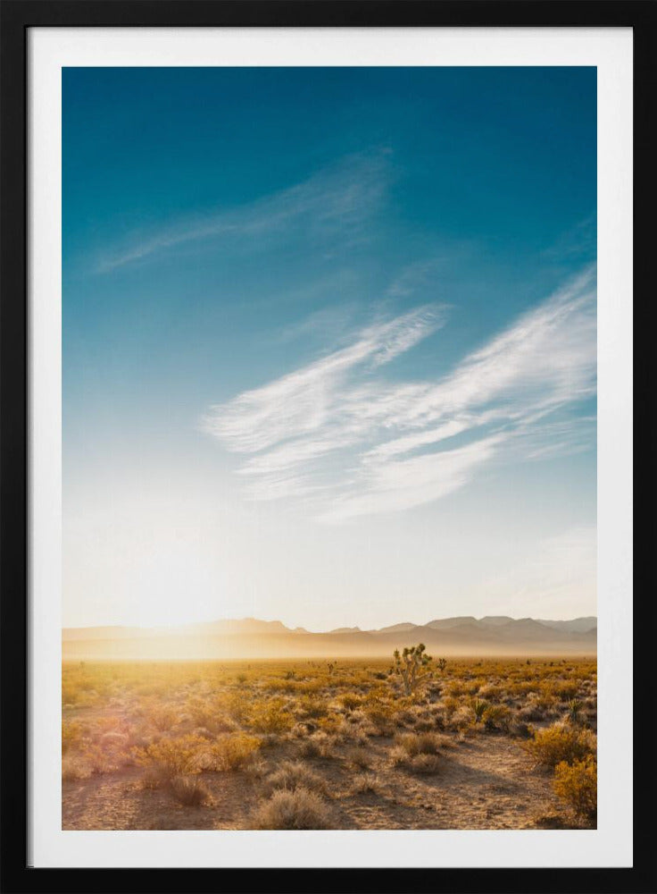 Sonnenaufgang in der Wüste von Nevada | Poster