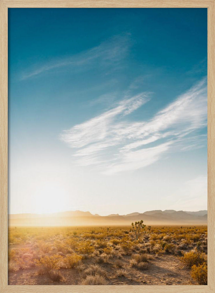 Sonnenaufgang in der Wüste von Nevada | Poster