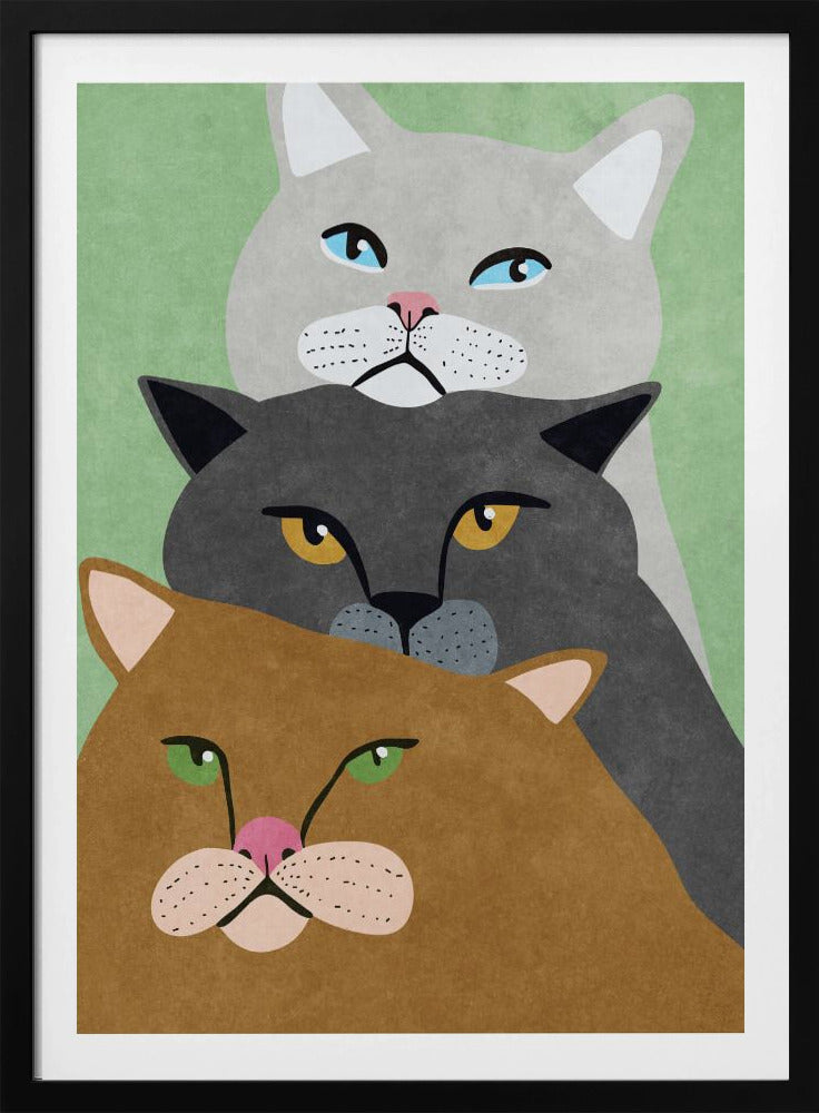 Katzentrio | Poster