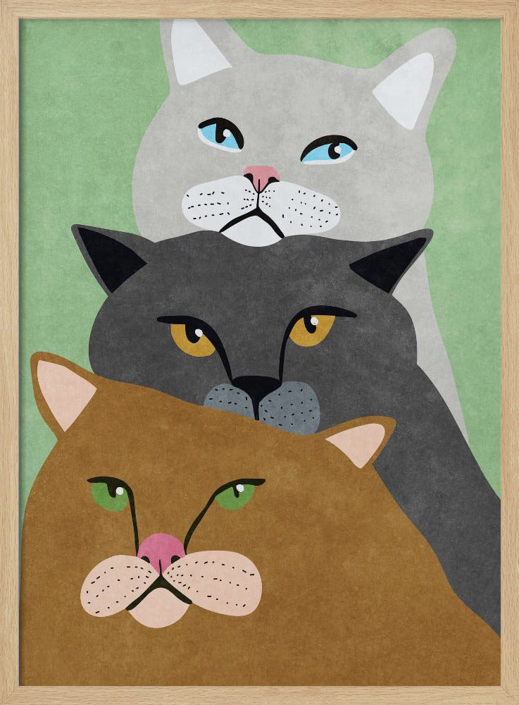 Katzentrio | Poster