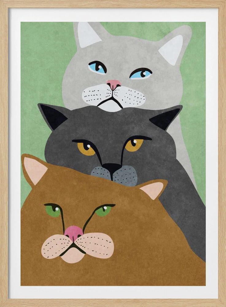 Katzentrio | Poster
