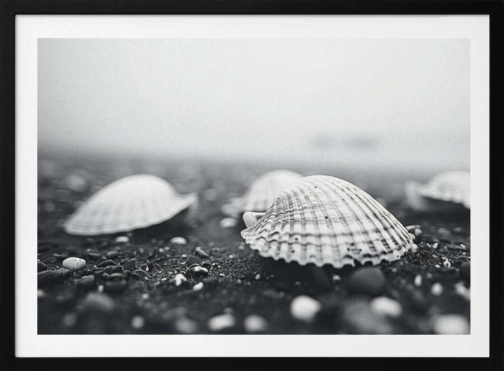 Seashell Serenity | Poster