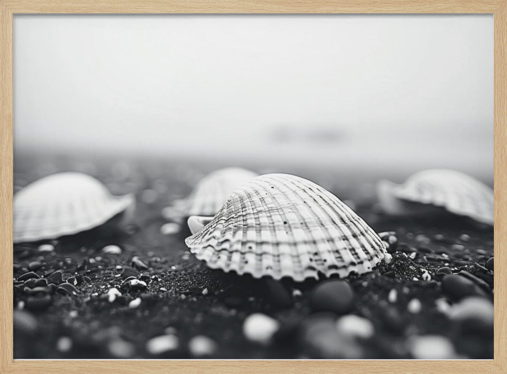 Seashell Serenity | Poster