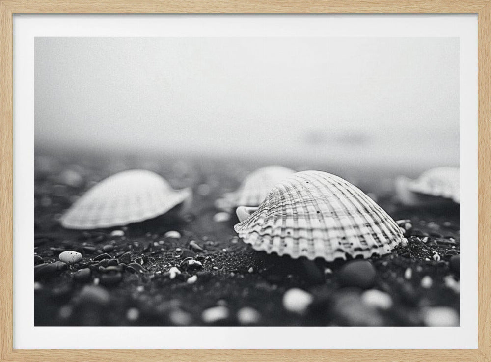 Seashell Serenity | Poster