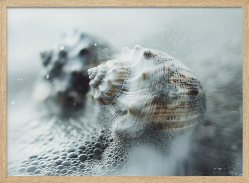 Muscheln im Ozeannebel | Poster