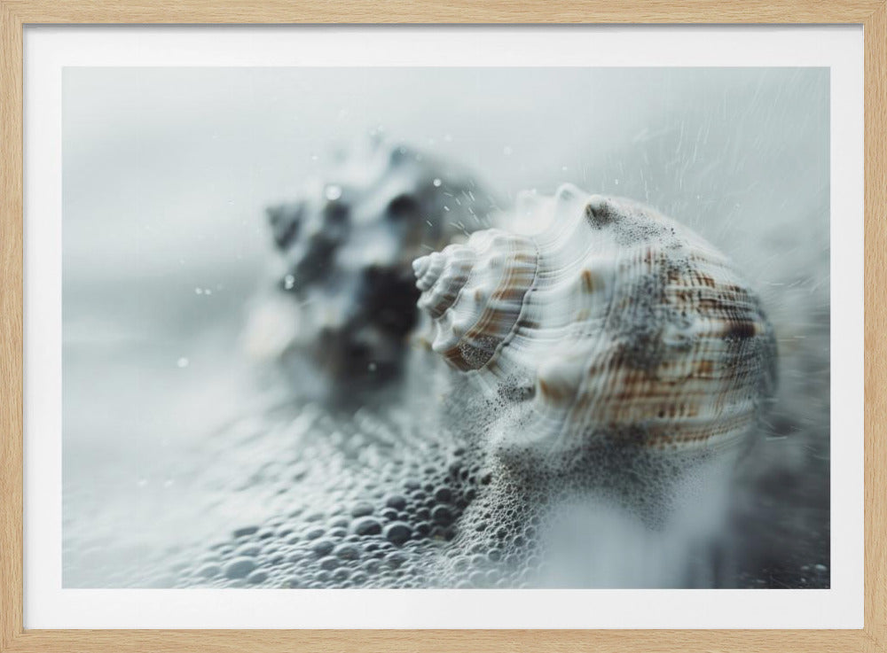 Muscheln im Ozeannebel | Poster