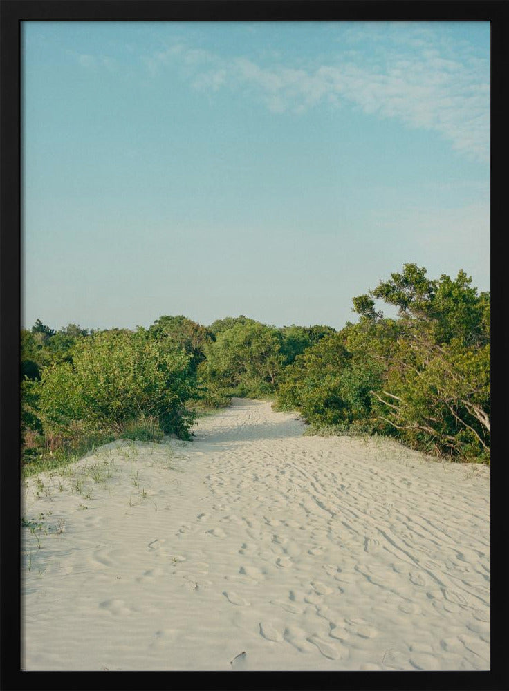Sullivan's Island | Poster