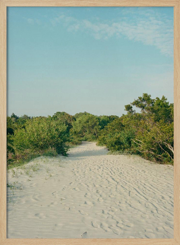 Sullivan's Island | Poster