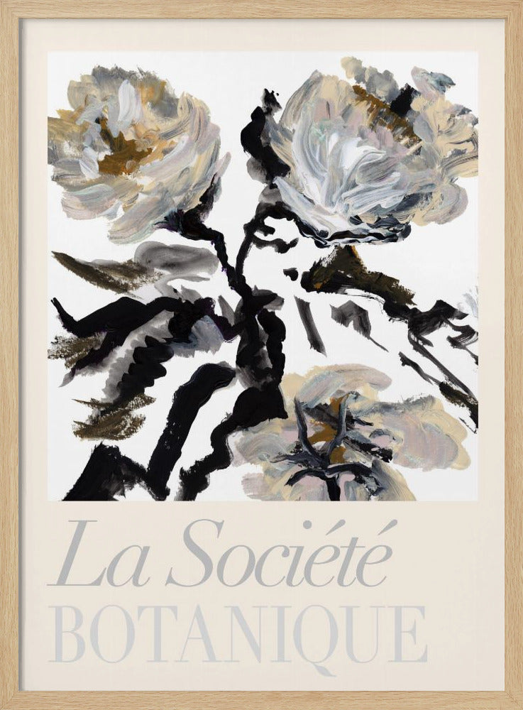 La Société Botanique Schwarze, weiße und cremefarbene Blumen | Poster