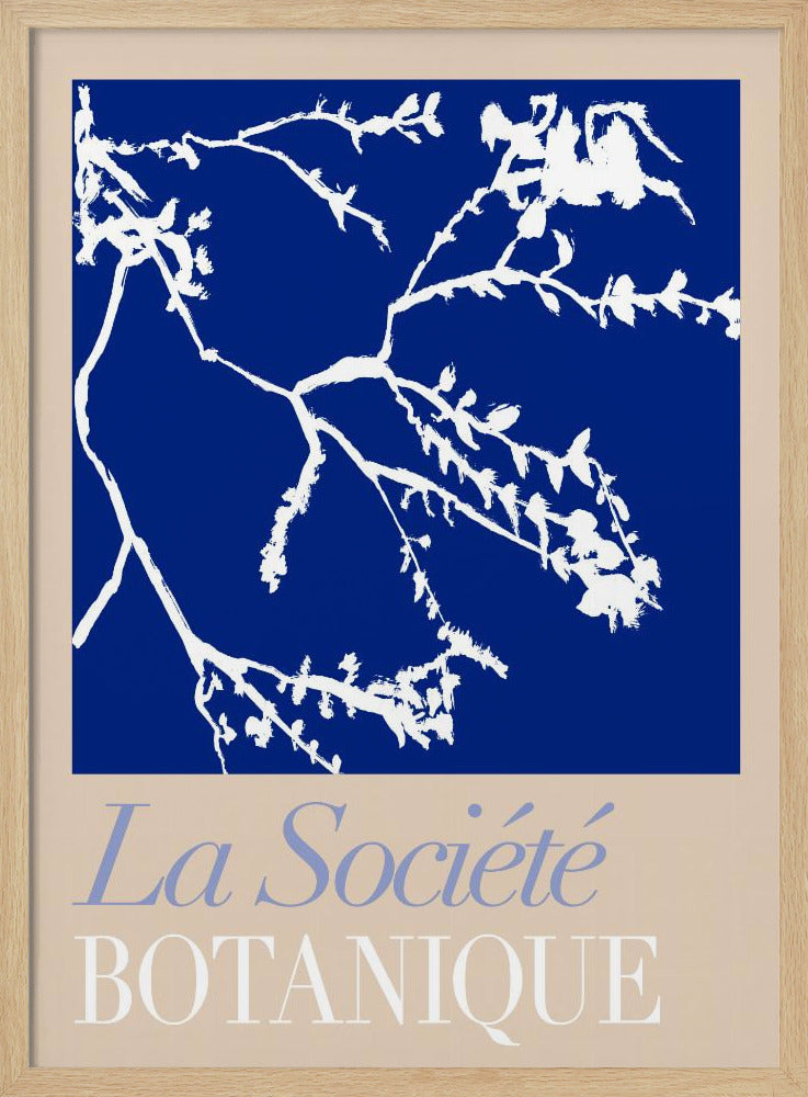 La Société Botanique Weiße Blume 2 | Poster