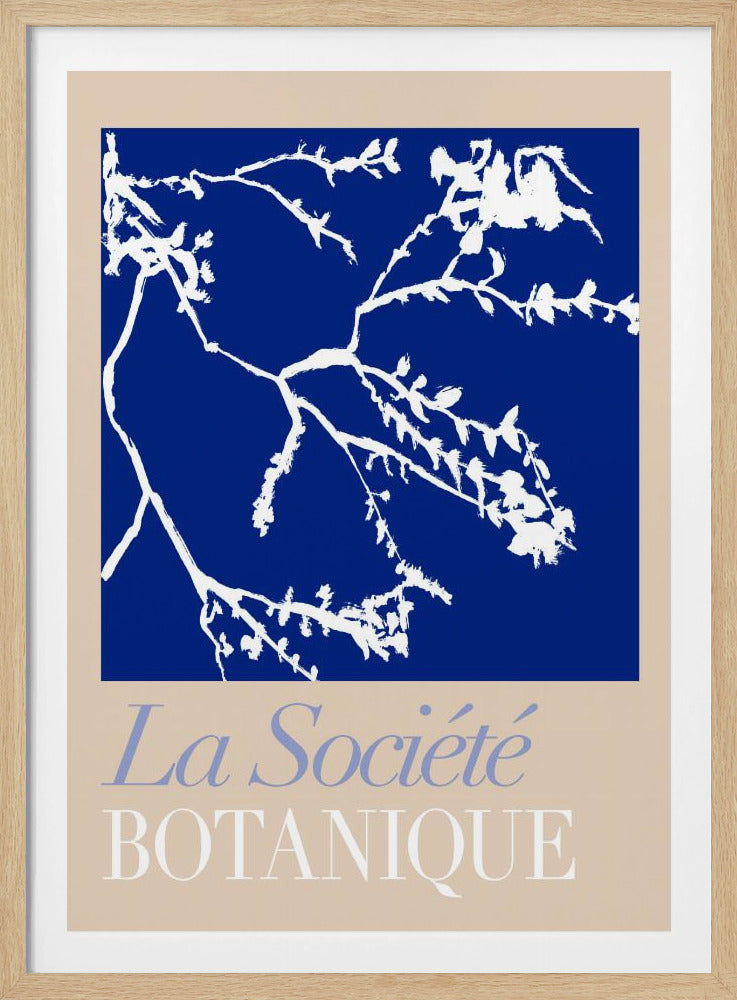 La Société Botanique Weiße Blume 2 | Poster