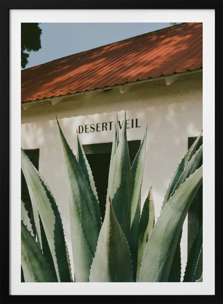 Wüstenschleier | Poster