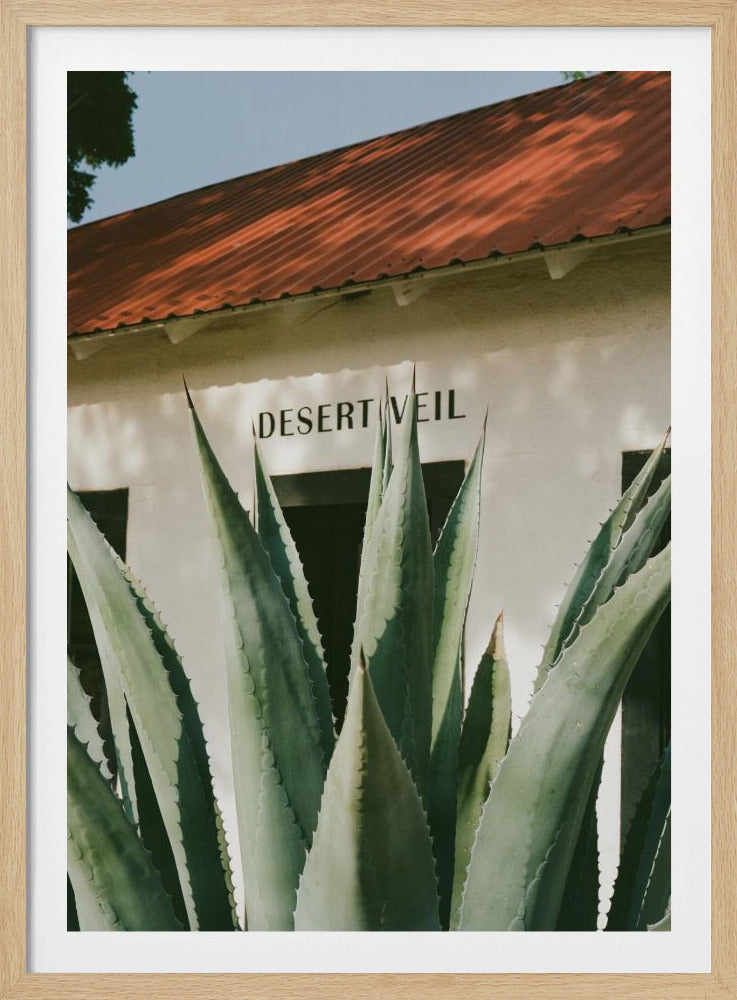 Wüstenschleier | Poster