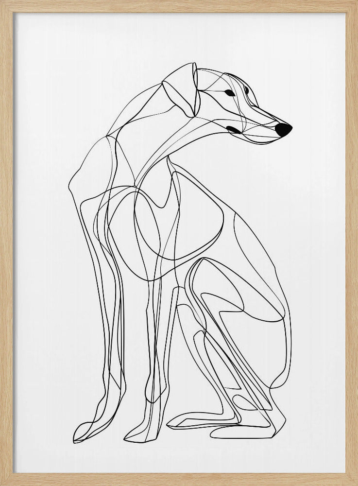 Linienhund | Poster