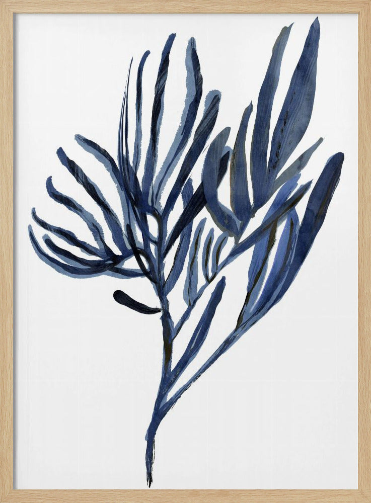Blaues Wasserpflanzen-Poster 2 | Poster