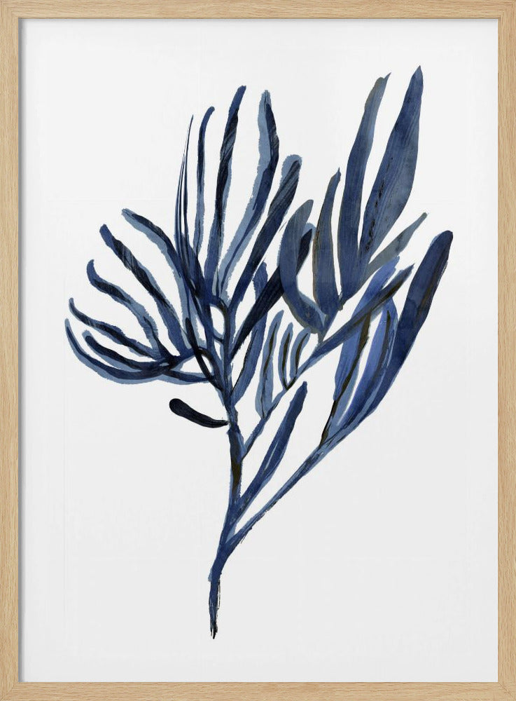 Blaues Wasserpflanzen-Poster 2 | Poster