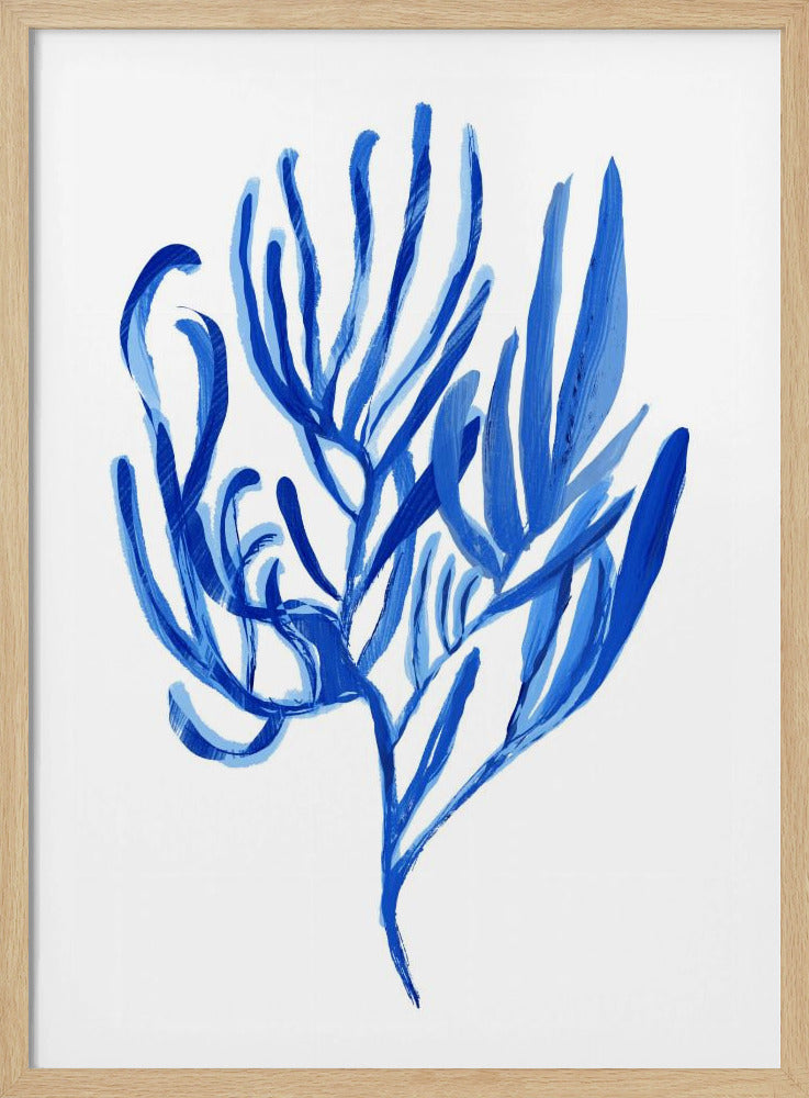 Blaues Wasserpflanzen-Poster 4 | Poster