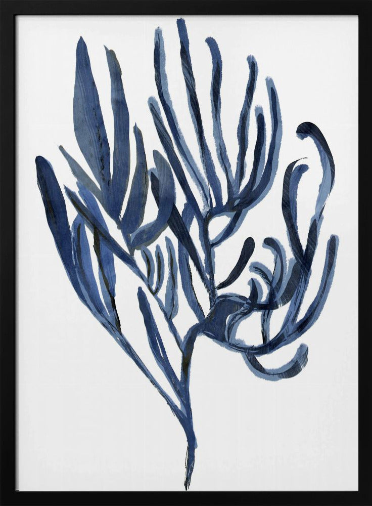 Blaues Wasserpflanzen-Poster 3 | Poster