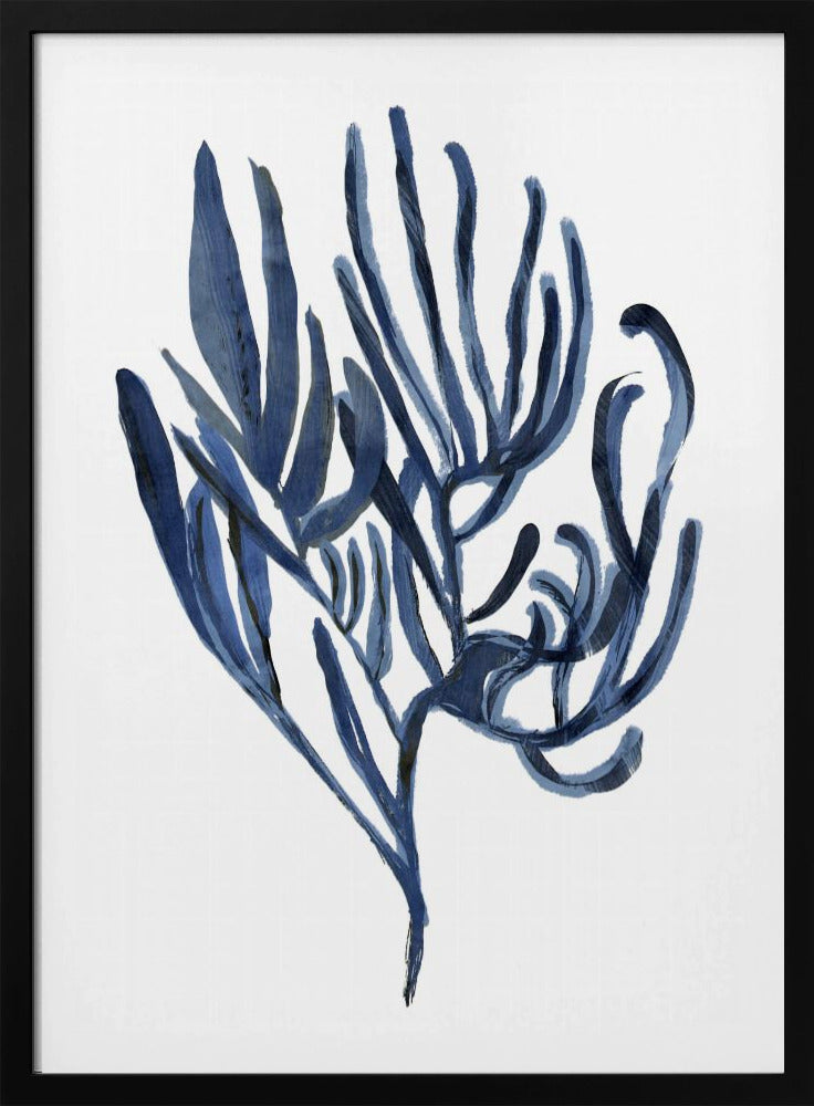 Blaues Wasserpflanzen-Poster 3 | Poster
