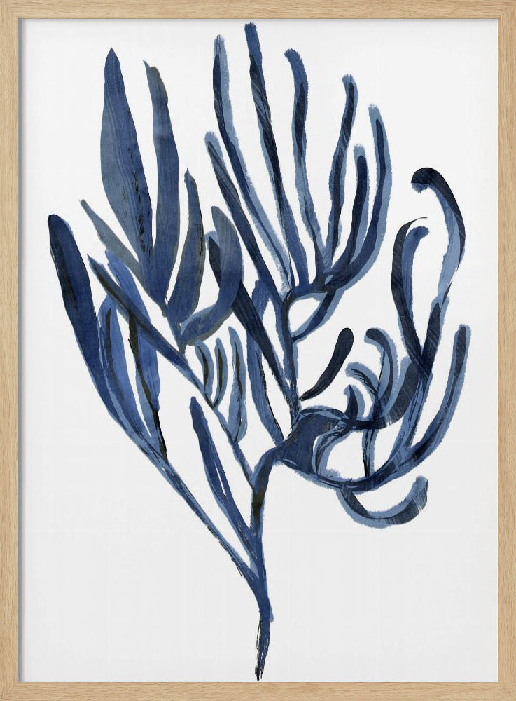 Blaues Wasserpflanzen-Poster 3 | Poster
