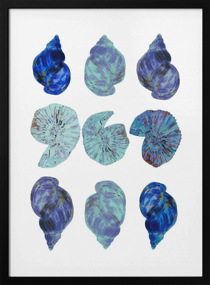 Blue Sea Shells Poster | Poster