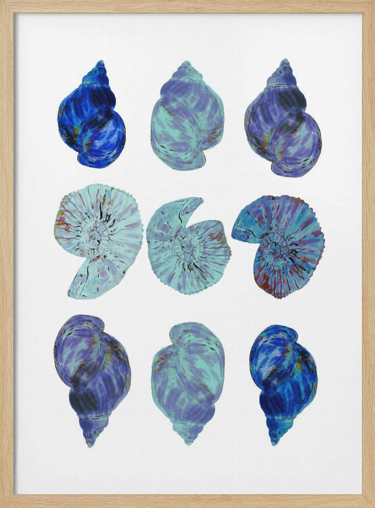 Blue Sea Shells Poster | Poster
