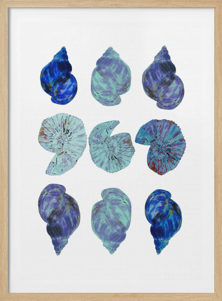 Blue Sea Shells Poster | Poster