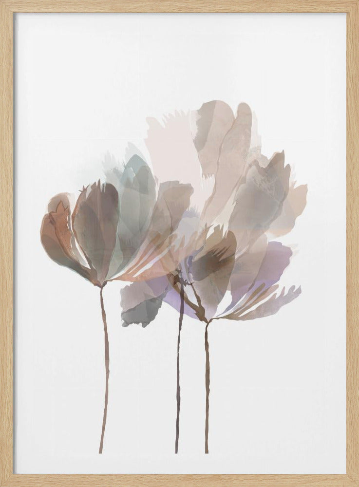 Erröten rosa Blumen | Poster