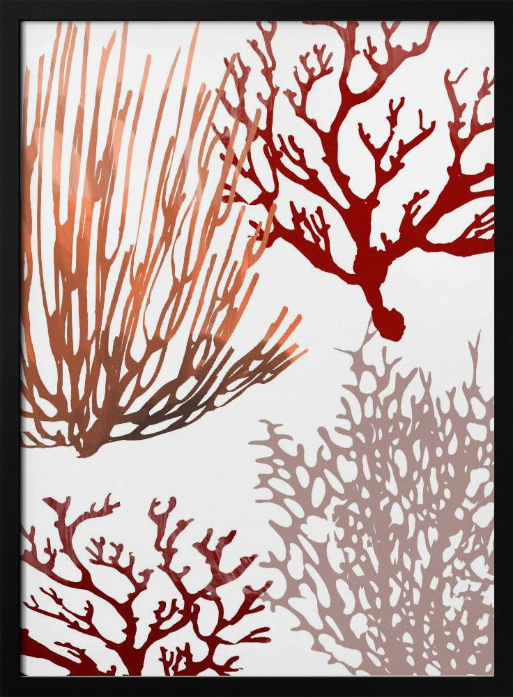 Rosa und rote Meereskoralle | Poster