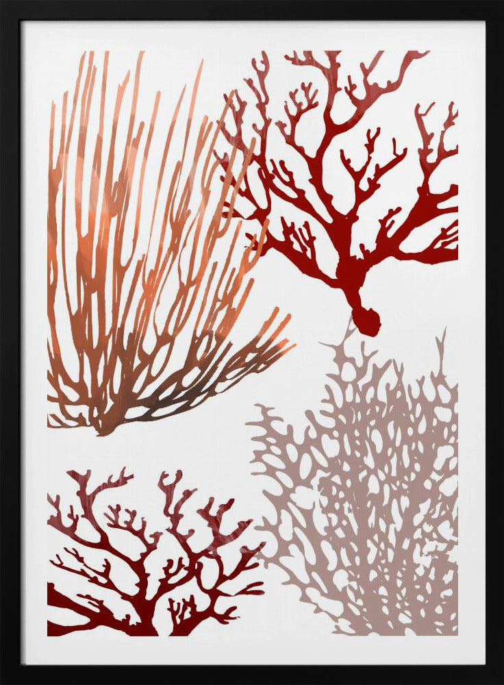 Rosa und rote Meereskoralle | Poster