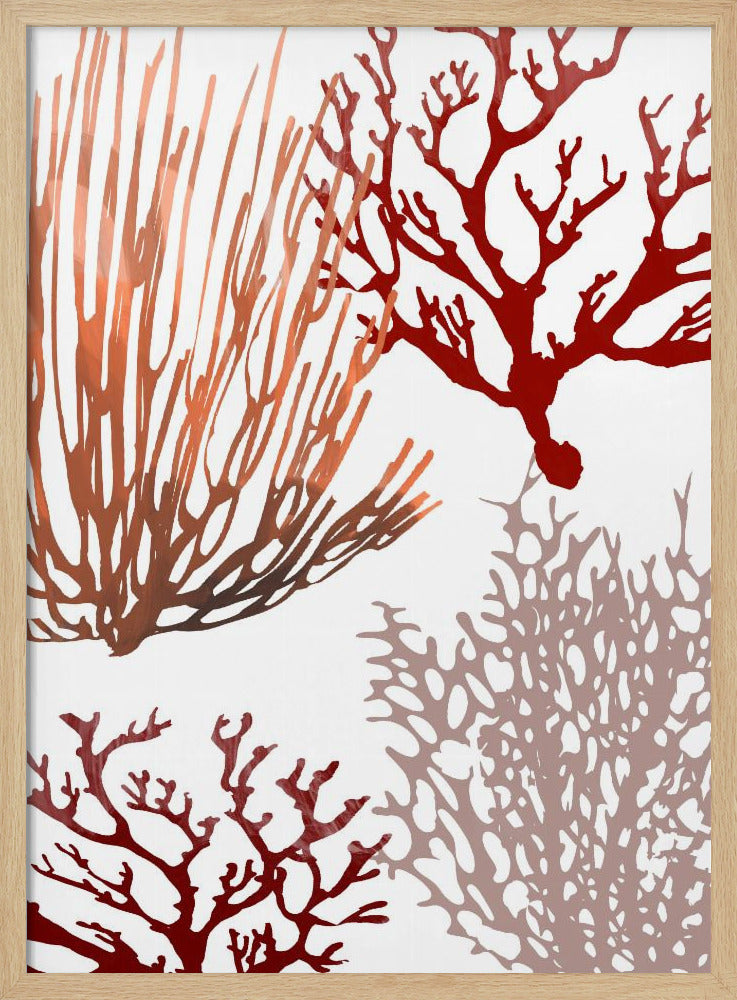 Rosa und rote Meereskoralle | Poster