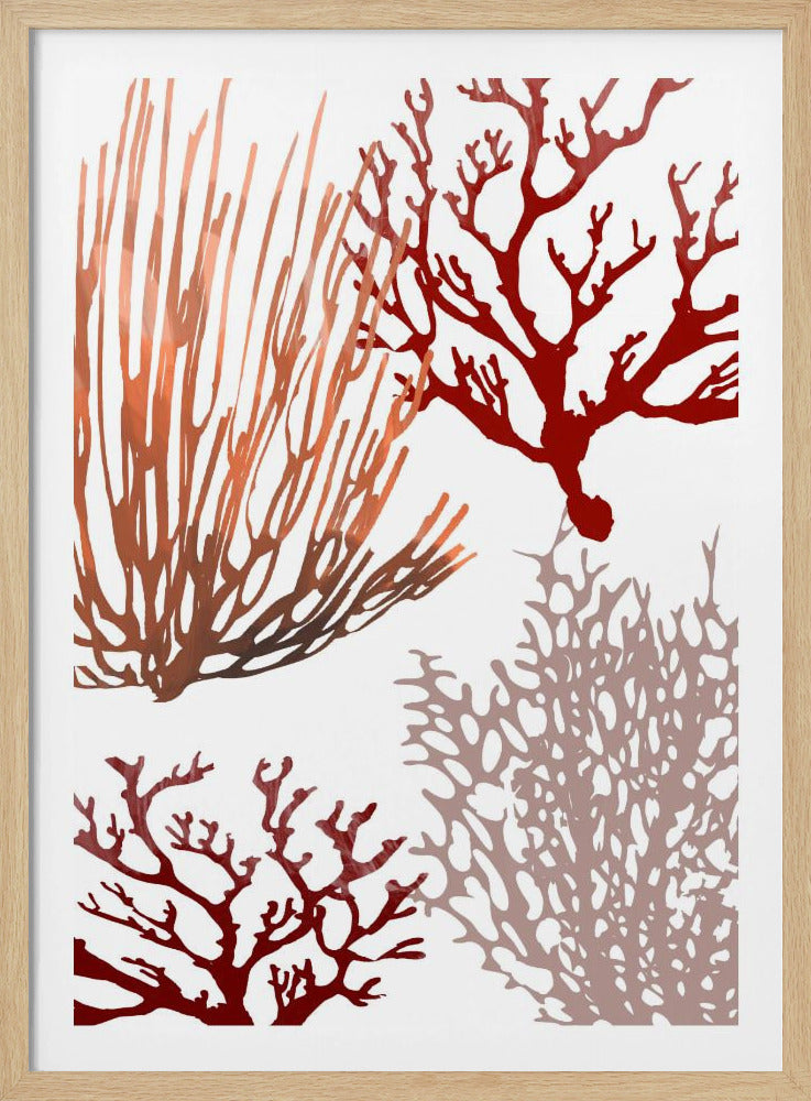 Rosa und rote Meereskoralle | Poster